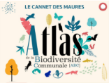 lecannetdesmaures.com