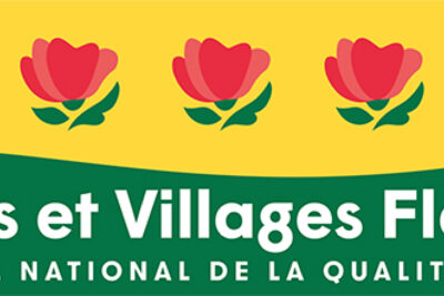 Agrandir l'image 1 sur 1, fenêtre modale