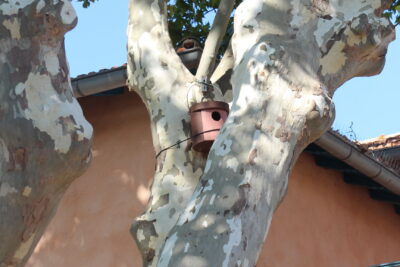 Agrandir l'image 10 sur 24, fenêtre modale