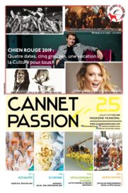 Agrandir l'image, fenêtre modale