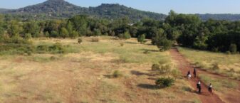 Des chevaux trottent sur une piste de terre, la forêt en décor autour d'eux et la plaine des Maures à l'horizon