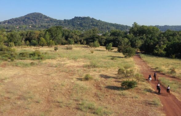 Des chevaux trottent sur une piste de terre, la forêt en décor autour d'eux et la plaine des Maures à l'horizon - Agrandir l'image, fenêtre modale