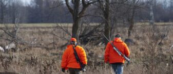 deux chasseurs de dos marchent dans la forêt, portant un blouson orange