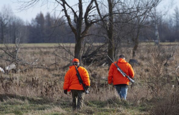 deux chasseurs de dos marchent dans la forêt, portant un blouson orange - Agrandir l'image, fenêtre modale