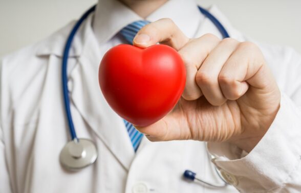 médecin tenant un coeur en plastique dans la main. - Agrandir l'image, fenêtre modale