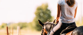 jeune fille à dos de cheval dans un décor de campagne et de harras