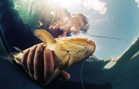 homme attrapant un poissons dans une rivière, piégé par un hameçon. - Agrandir l'image, fenêtre modale