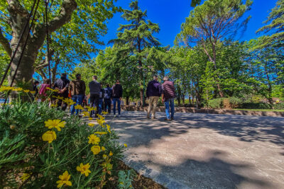 Agrandir l'image 6 sur 13, fenêtre modale