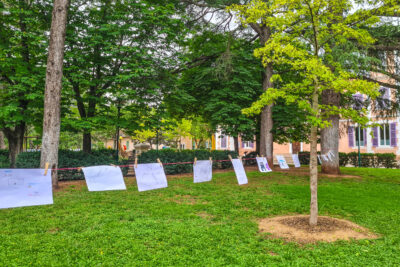 Agrandir l'image 24 sur 34, fenêtre modale