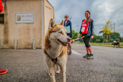 Agrandir l'image 20 sur 32, fenêtre modale