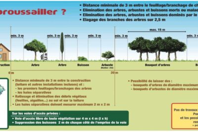 Agrandir l'image 2 sur 2, fenêtre modale
