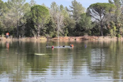 Agrandir l'image 4 sur 4, fenêtre modale