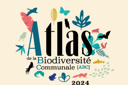 logo atlas de la biodiversité communale avec des couleurs différentes et claires et des silhouettes d'animaux autour. - Agrandir l'image, fenêtre modale