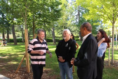 Agrandir l'image 3 sur 42, fenêtre modale