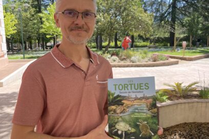 Agrandir l'image, fenêtre modale